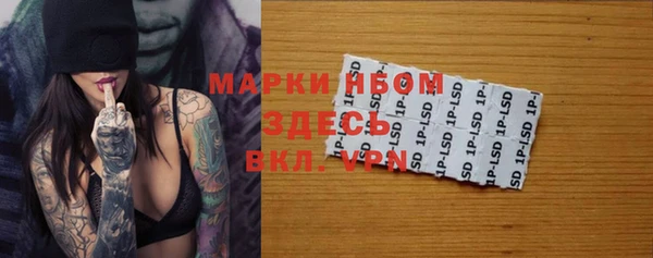 хмурый Рославль