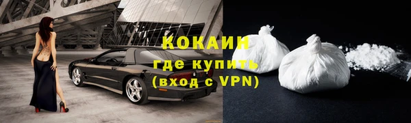 стаф Ростов
