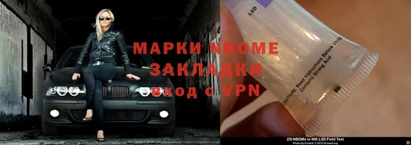 стаф Ростов