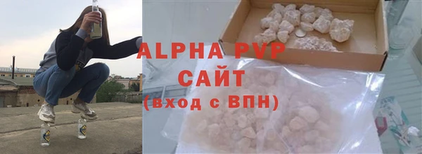 стаф Ростов