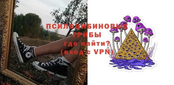хмурый Россошь