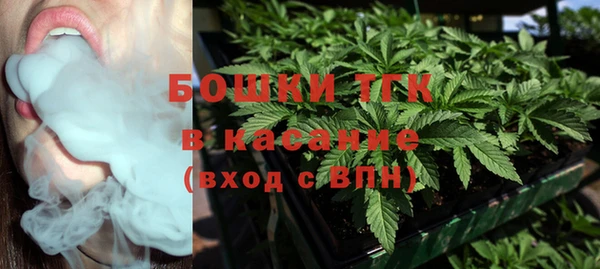 стаф Ростов