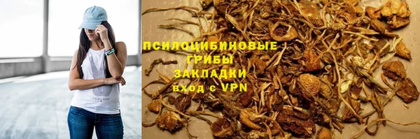 хмурый Россошь