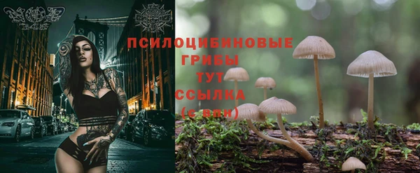 хмурый Россошь