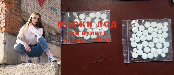 стаф Ростов