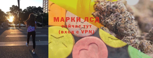 хмурый Рославль