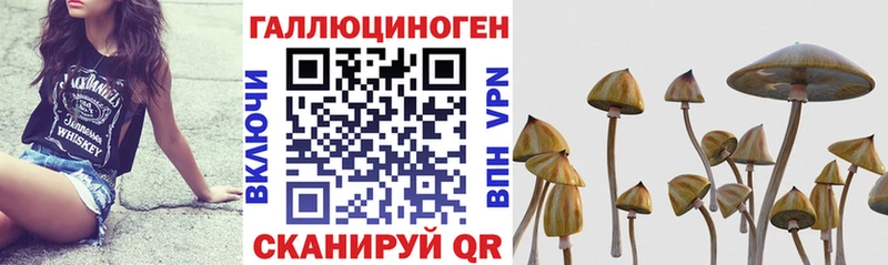 Купить  Павловский Посад  Галлюциногенные грибы Cubensis 